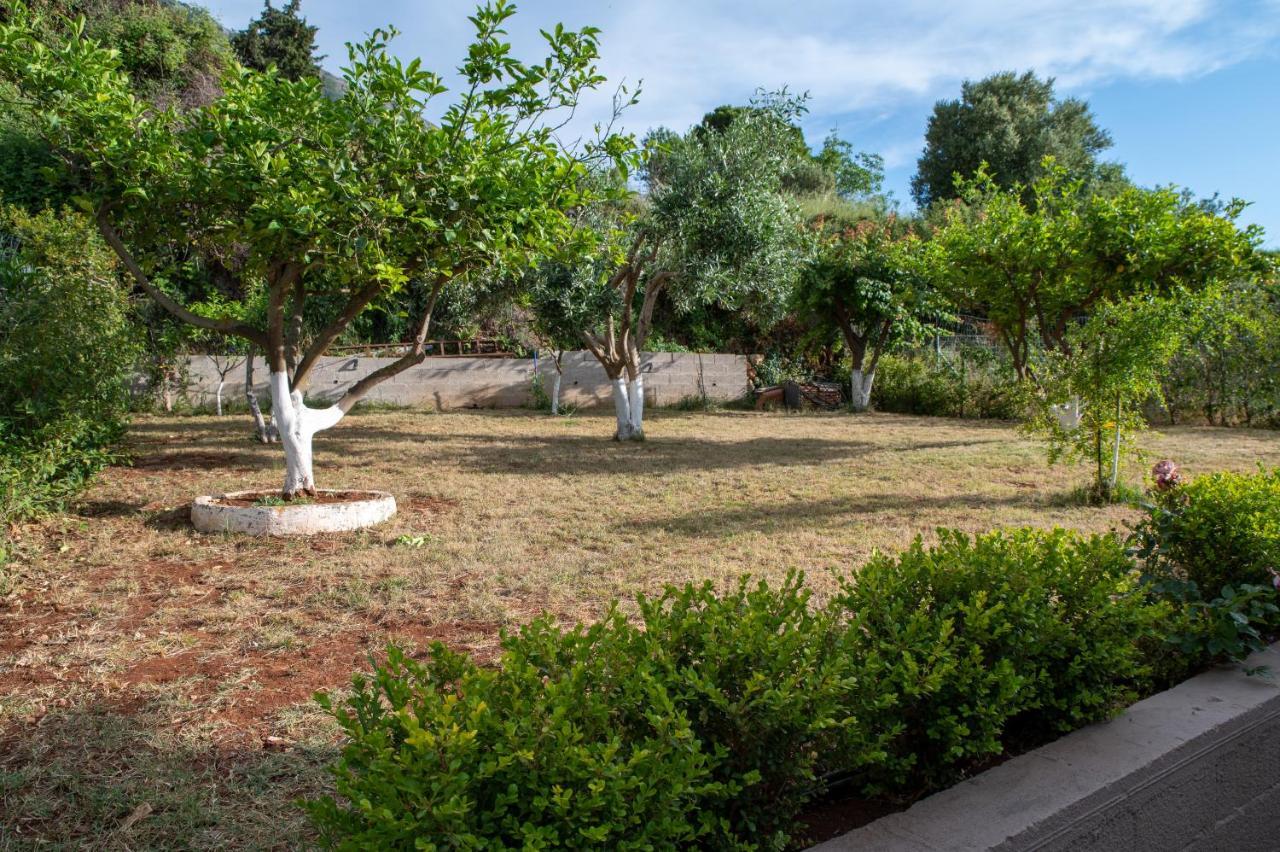 Villa Athina Angon Zewnętrze zdjęcie